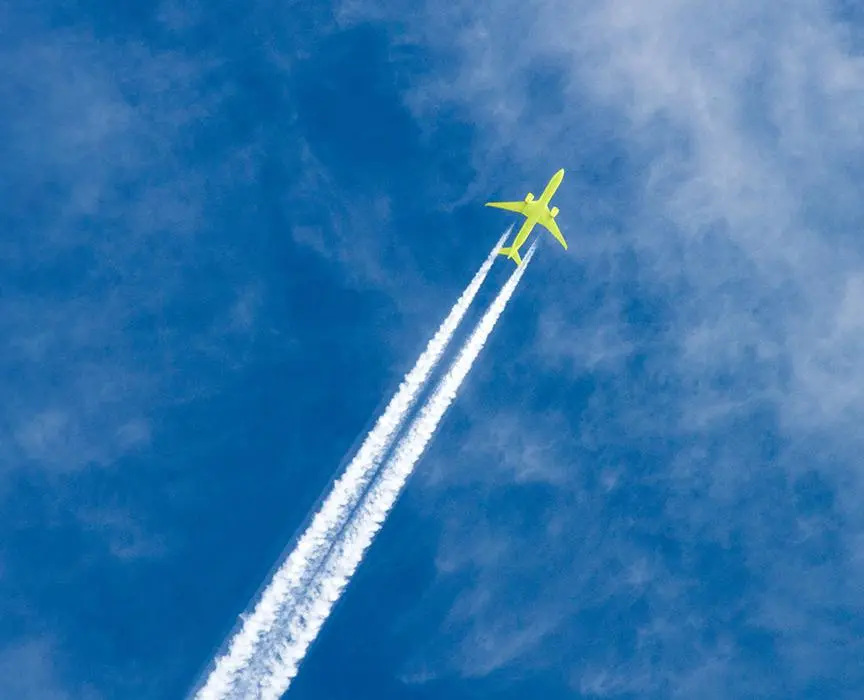 S7 Airlines выпустила обновление мобильного приложения