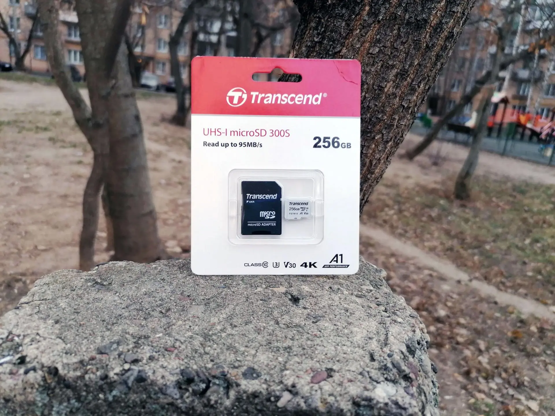 Обзор карты памяти Transcend microSDXC/SDHC 300S