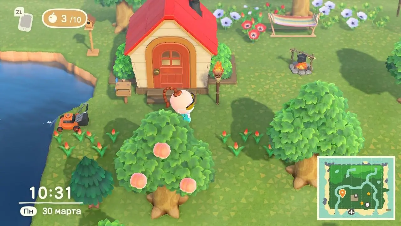 Animal Crossing New Horizons вышла на Nintendo Switch. Наш обзор игры