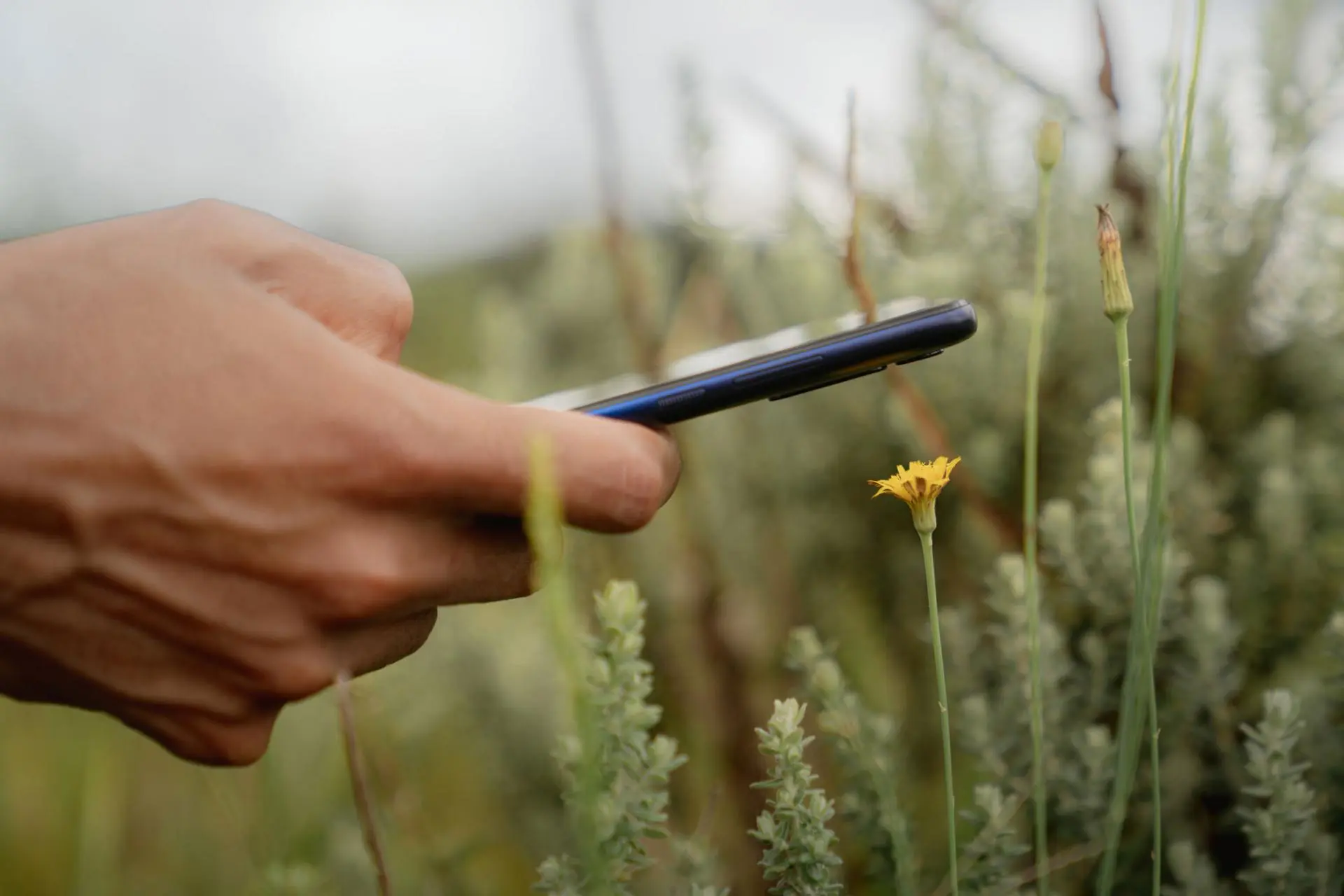 Motorola Moto G8 Power Lite анонсирован официально. Так он&nbsp;бюджетный или нет?
