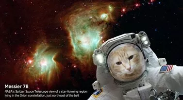 5 приложений, которые помогут вам посмотреть на небо