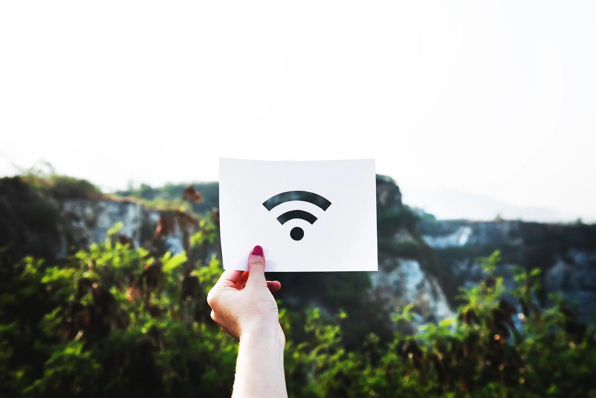 4 способа узнать пароль от Wi-Fi в Windows 11