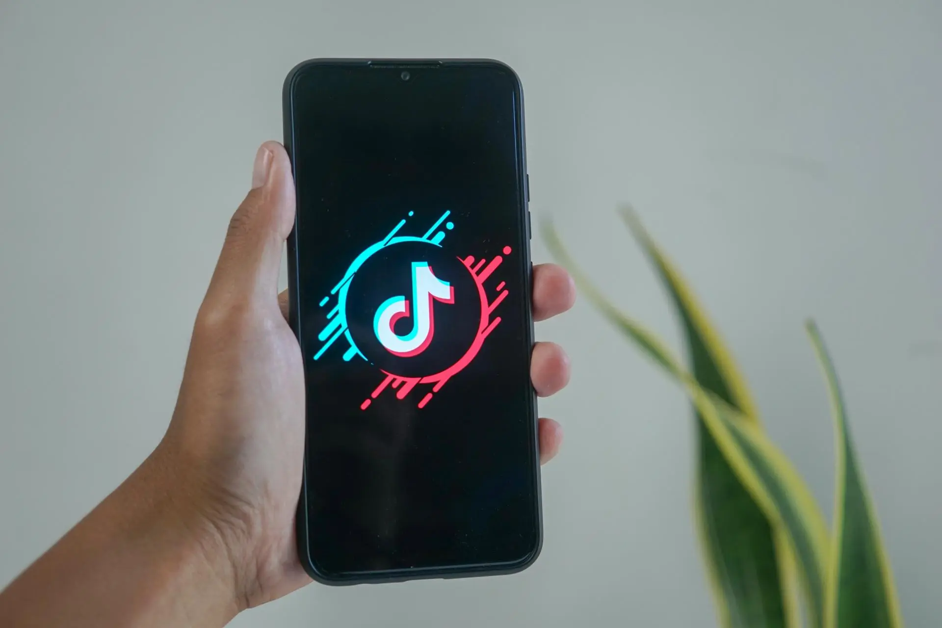 Молодое поколение гуглит в TikTok и Instagram*