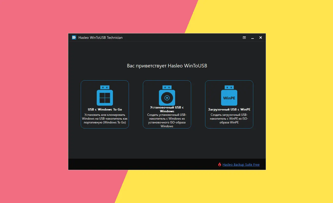 Акция от Giveaway of the Day: WinToUSB Professional бесплатно для всех, включая РФ