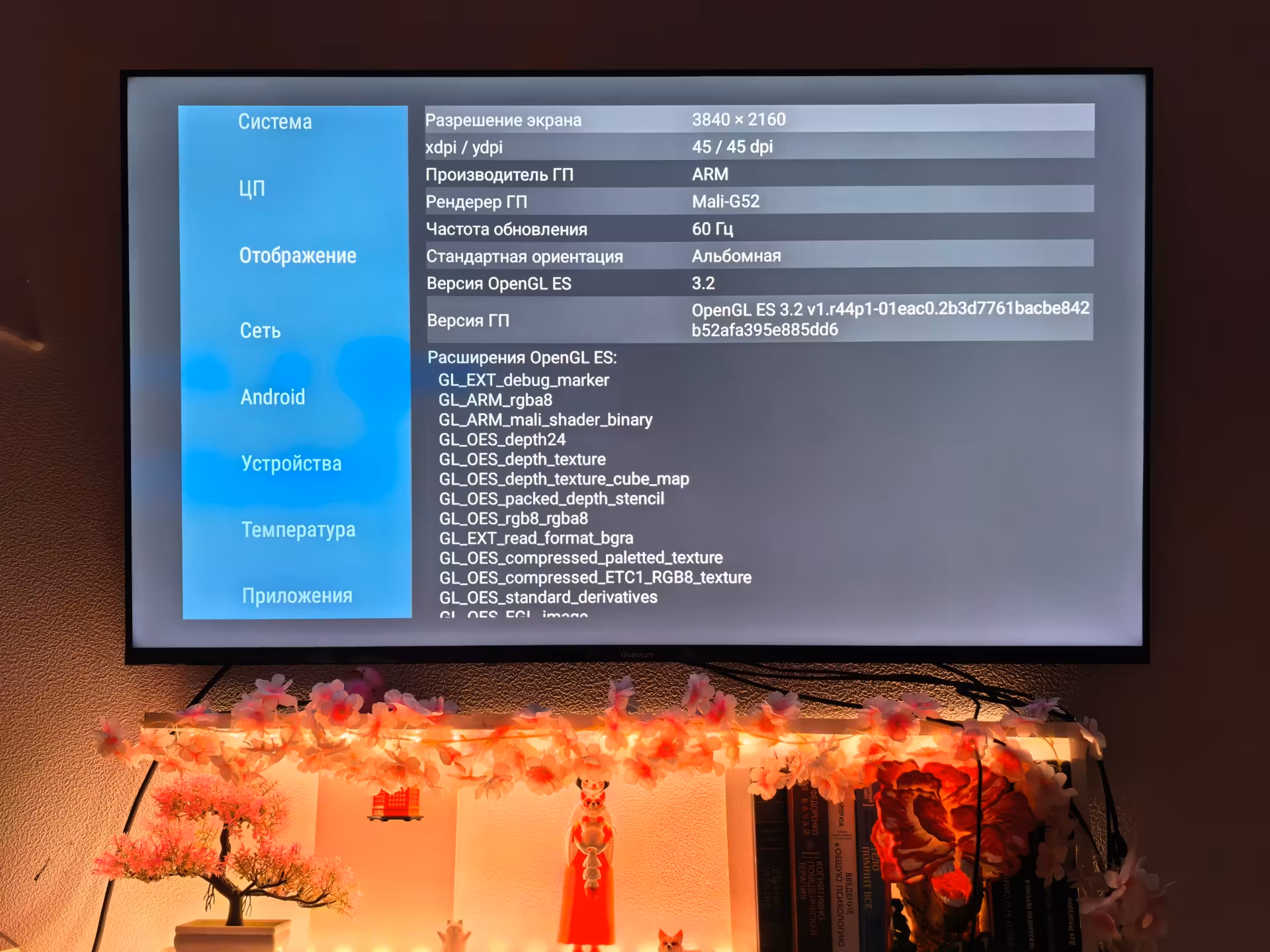 Диагностика в AIDA64 раскрыла приятные сюрпризы: платформу от Changhong на чипе MediaTek MT5896, свежий Android 14 и почти 23 ГБ свободной памяти