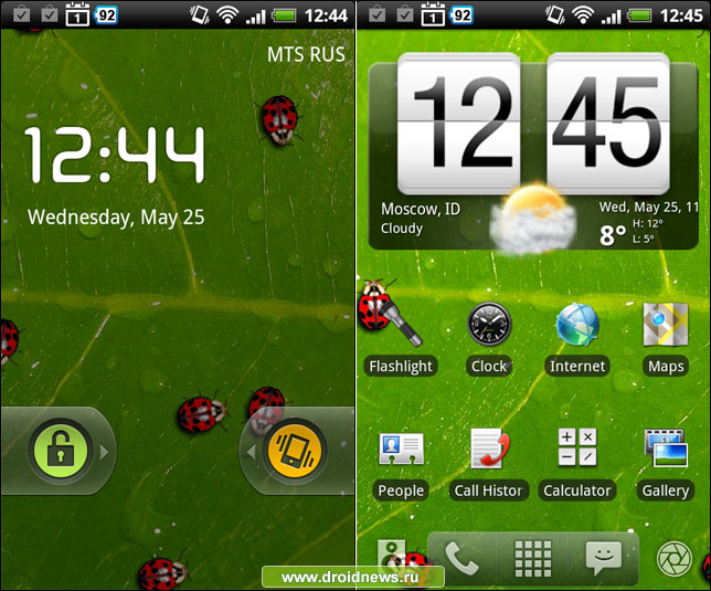 Ladybugs Alive! Wallpaper - живые обои для любителей природы