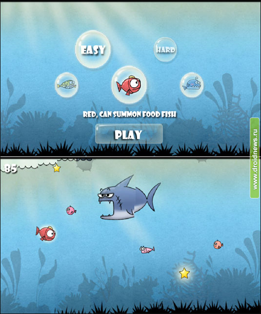 Dodging Fish Dodging Fish